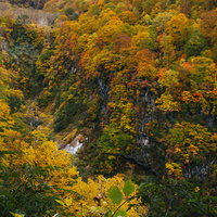 妙高山燕新道の紅葉と登山道・秋の自然風景の写真