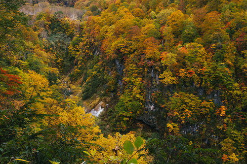 妙高山燕新道の紅葉と登山道・秋の自然風景
