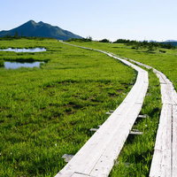 尾瀬アヤメ平から見る燧ヶ岳と至仏山の木道の写真