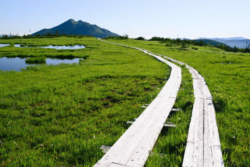 尾瀬アヤメ平から見る燧ヶ岳と至仏山の木道