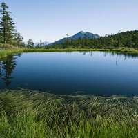 富士見田代と燧ヶ岳を望む尾瀬の池塘の写真