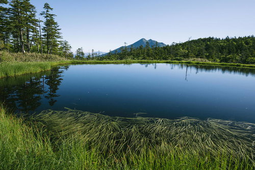富士見田代と燧ヶ岳を望む尾瀬の池塘