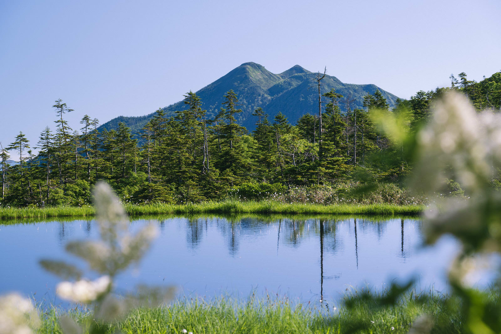 富士見田代の池塘越しに見える燧ヶ岳の風景