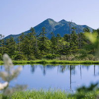 富士見田代の池塘越しに見える燧ヶ岳と深緑の森の写真