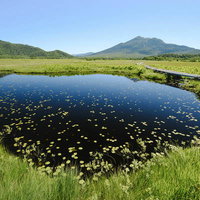 尾瀬の湿原に点在する池塘と燧ヶ岳、至仏山の写真