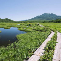 尾瀬ヶ原の木道から眺める燧ヶ岳と至仏山の湿原風景の写真