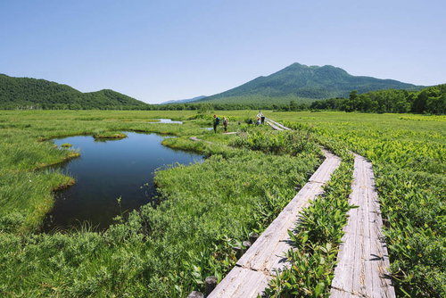 尾瀬ヶ原の木道から眺める燧ヶ岳と至仏山の湿原風景