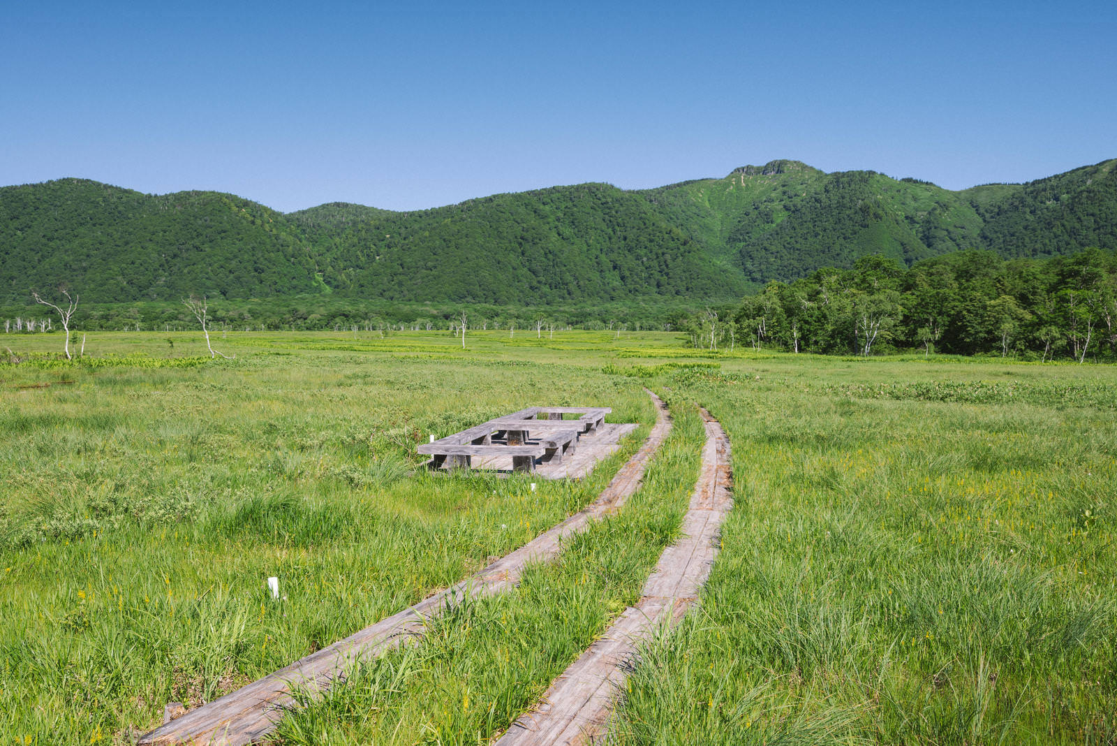 緑の湿原に延びる木道と背景の至仏山を捉えた尾瀬ヶ原の風景