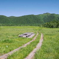 尾瀬ヶ原の木道と至仏山の雄大な景観の写真