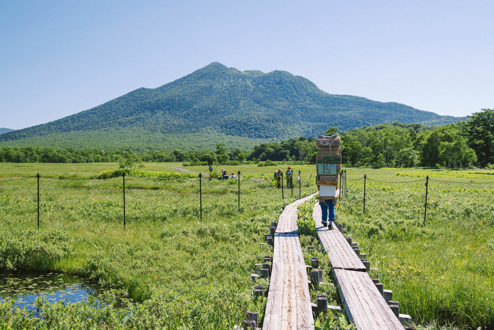 至仏山を背景に湿原の中を延びる一本の木道
