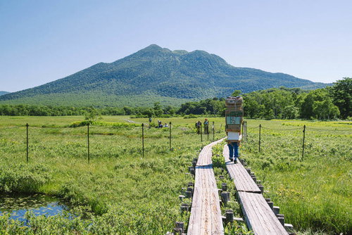 燧ヶ岳に向かう湿原の木道を歩く登山者の姿