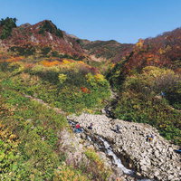 日本百名山・雨飾山の荒菅沢から見る紅葉の山腹の写真