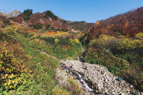 日本百名山・雨飾山の荒菅沢から見る紅葉の山腹