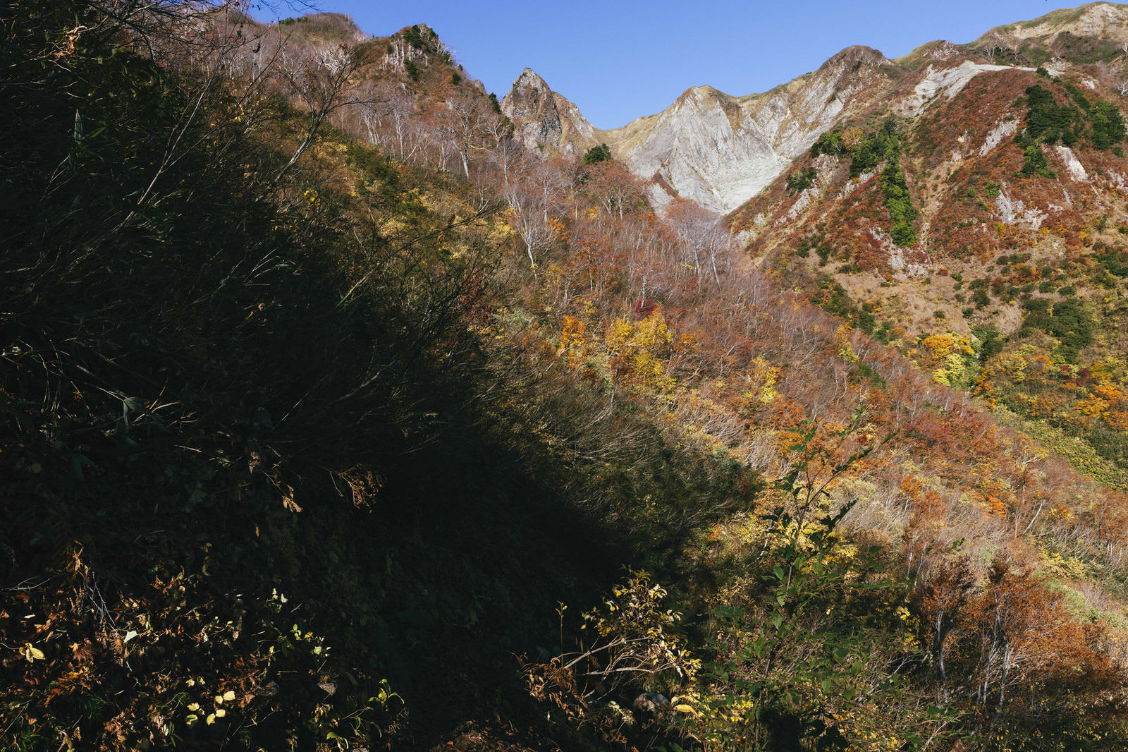 荒菅沢から望む雨飾山の秋の紅葉