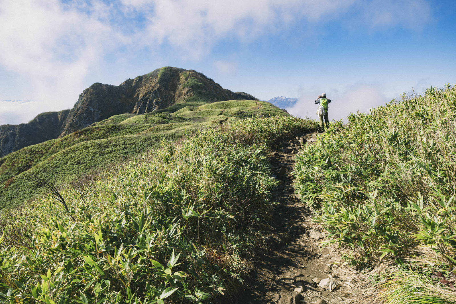 雨飾山の緑豊かな稜線の登山道を歩く登山者と青空
