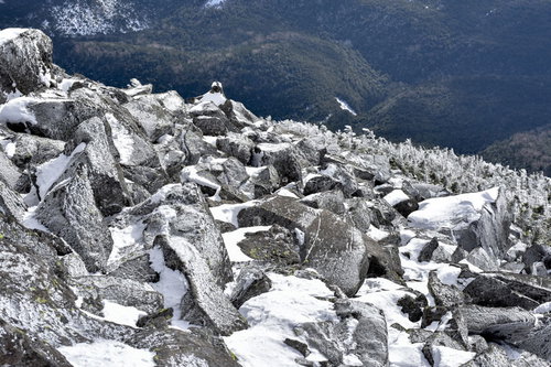凍った岩が連なる蓼科山山頂付近の雪山風景