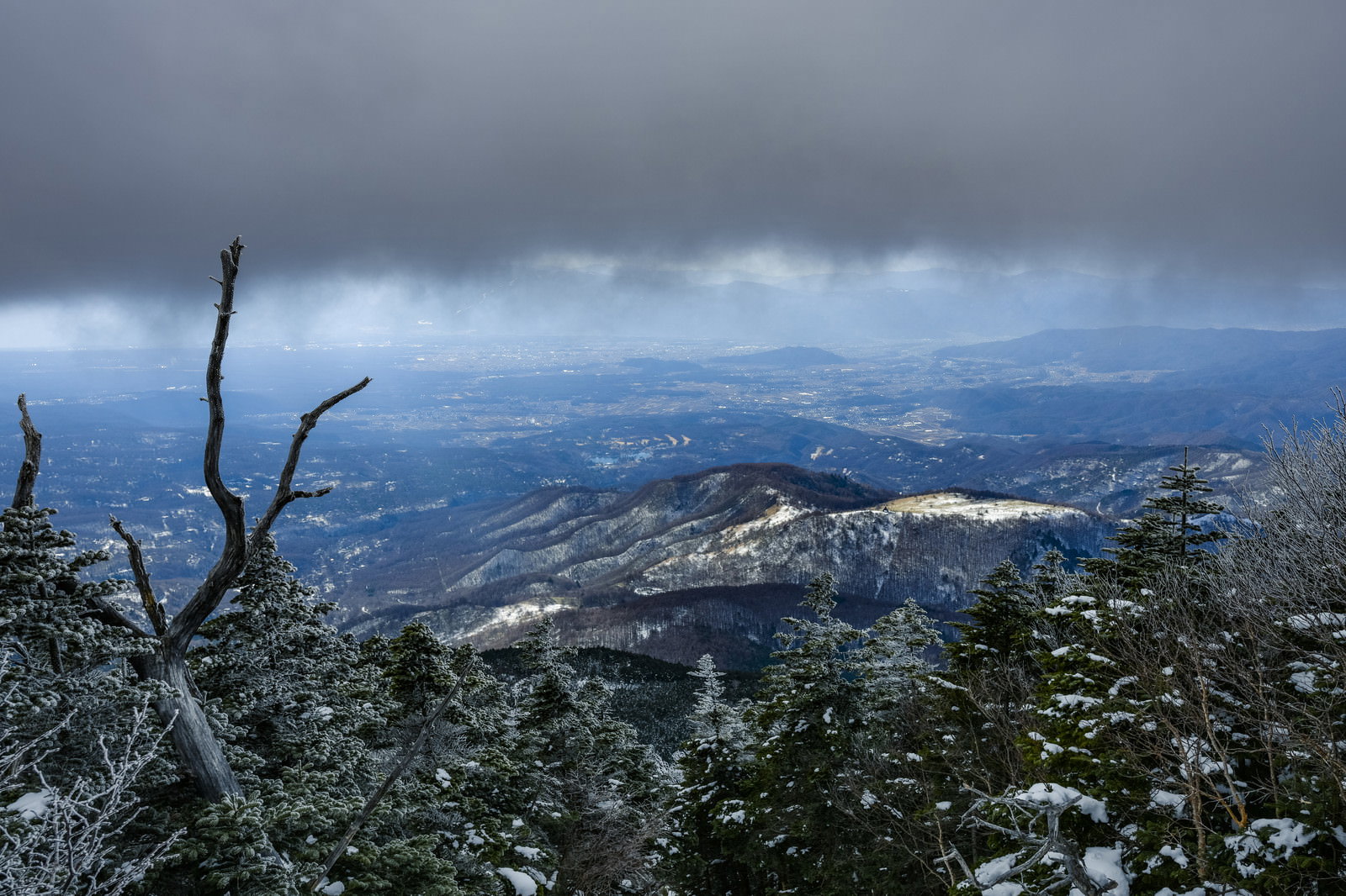 曇天の空の下、雪に覆われた蓼科山麓の風景と手前の枯れ木