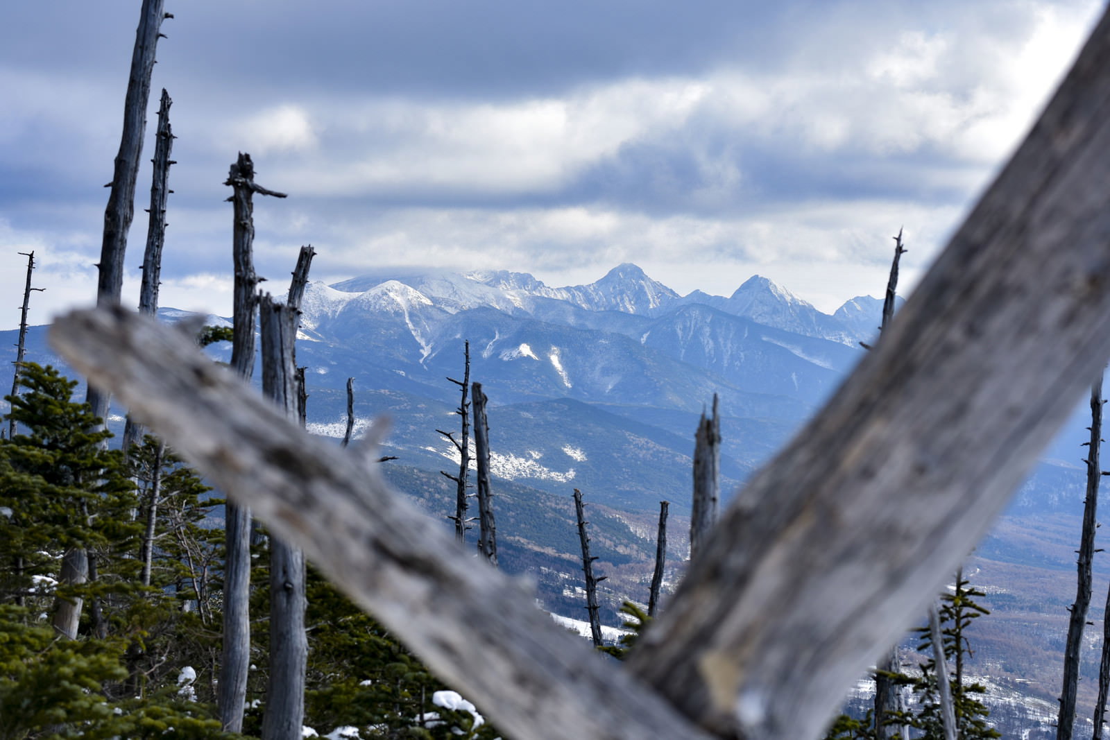 蓼科山から望む八ヶ岳連峰、手前に立ち枯れした木々、奥に雪化粧した山並み