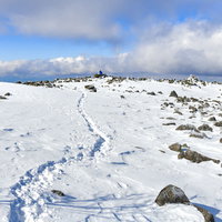 蓼科山の雪原に延びる一本のトレース、冬の登山風景の写真