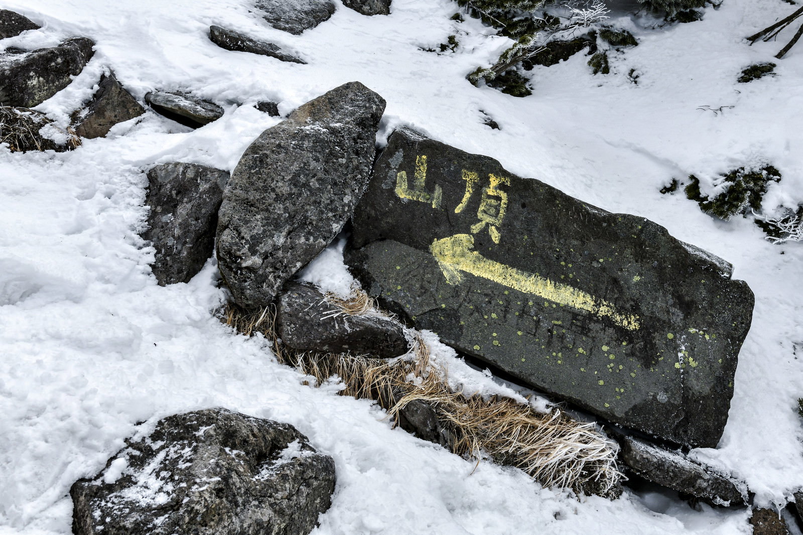 雪の岩場に立つ緑色の蓼科山標識、矢印で山頂方向を示す