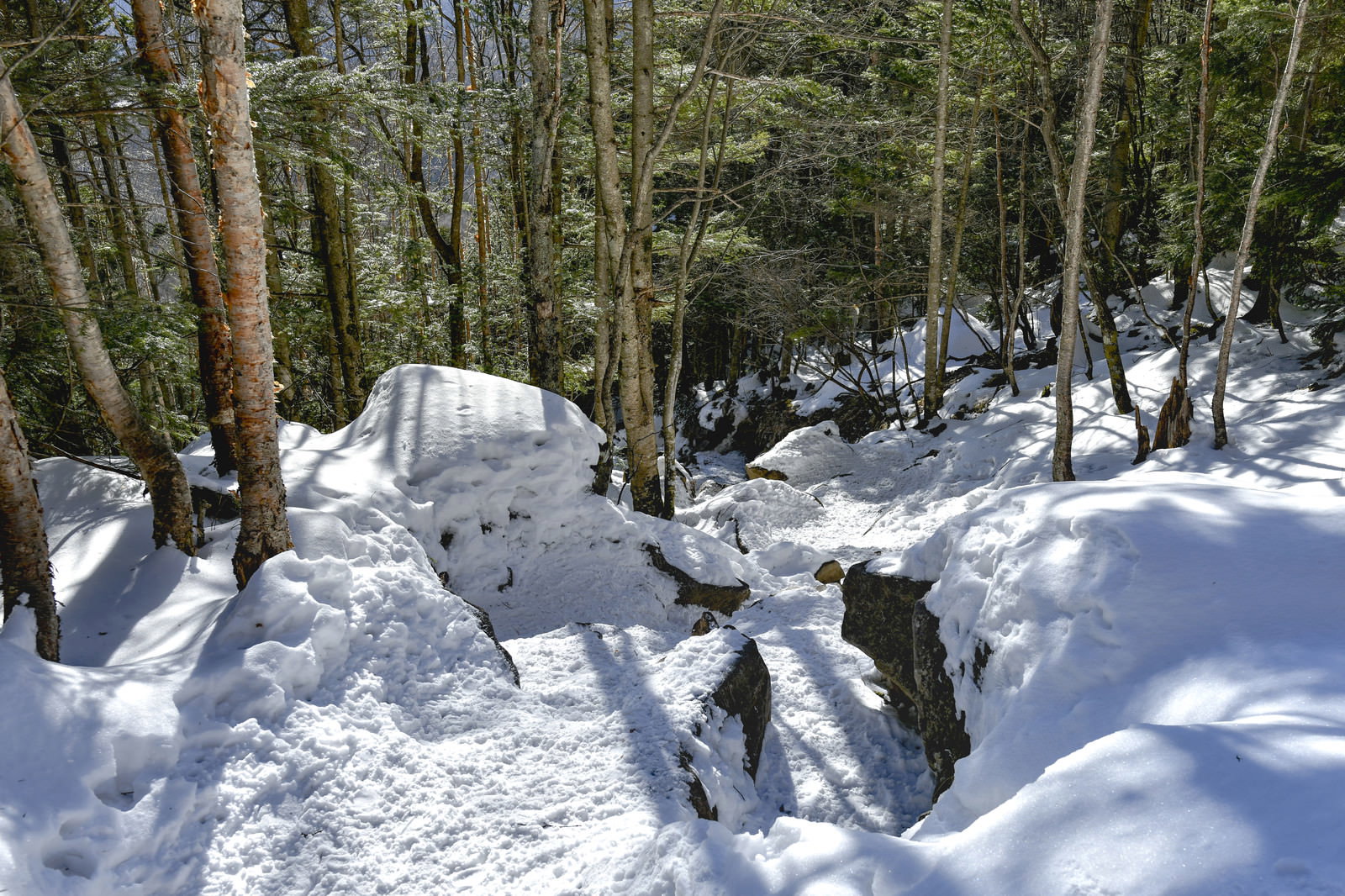 雪に覆われた蓼科山の登山道を歩く様子