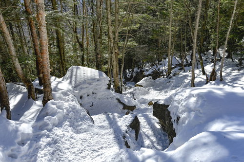 踏み固められた雪積もる蓼科山の登山道を進む登山者の冬山風景