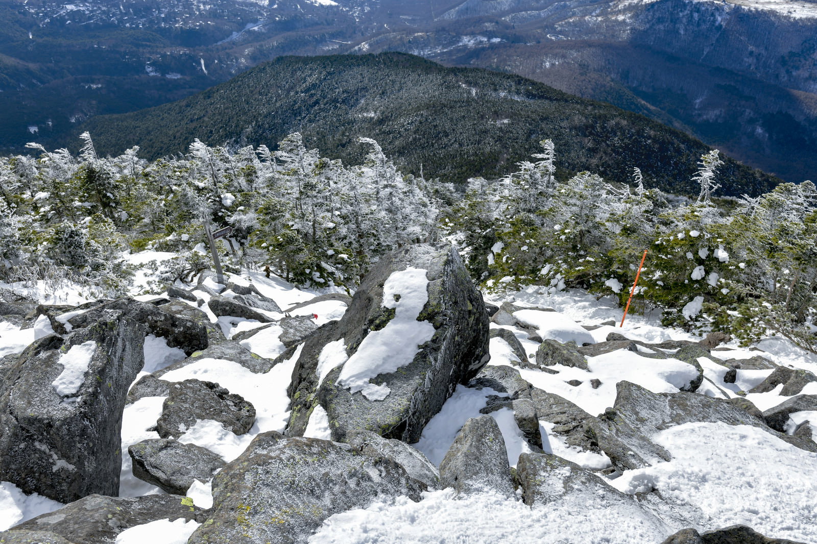 雪に覆われた岩場と霧氷で白くなった木々が広がる蓼科山の冬景色