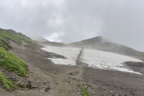鷲羽岳の弓折乗越でガスの稜線を歩く登山者