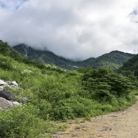 新穂高温泉登山道から見上げる雲に覆われた北アルプス南部の山々（鷲羽岳）の写真