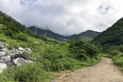 新穂高温泉登山道から見上げる雲に覆われた北アルプス南部の山々（鷲羽岳）