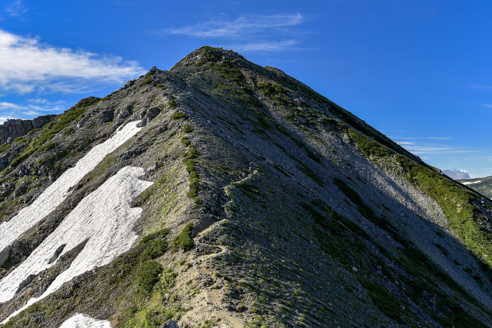 水晶岳側から見る鷲羽岳の稜線と登山道