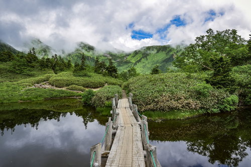 鏡平山荘前の湿原から見上げるアルプスの稜線と鷲羽岳