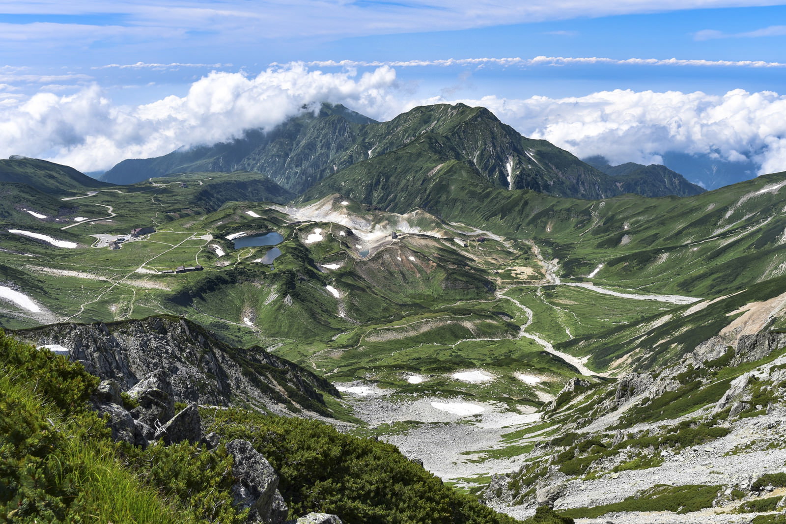 大汝山から見下ろした立山室堂の緑豊かな高原風景と雲海