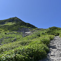 立山室堂から浄土山へと続く石畳の登山道、高山植物と晴天の空の写真