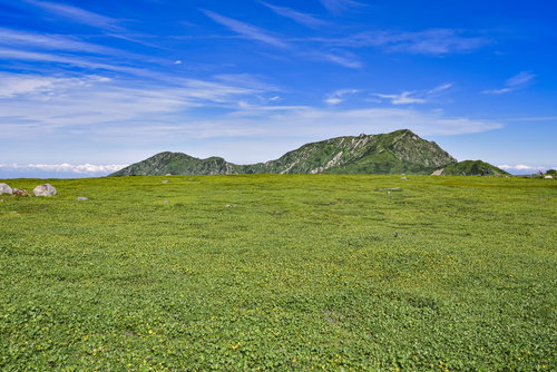 立山室堂の緑の草原の向こうにそびえ立つ奥大日岳