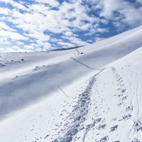 冬の安達太良山の積雪した斜面に続くトレースと足跡の写真