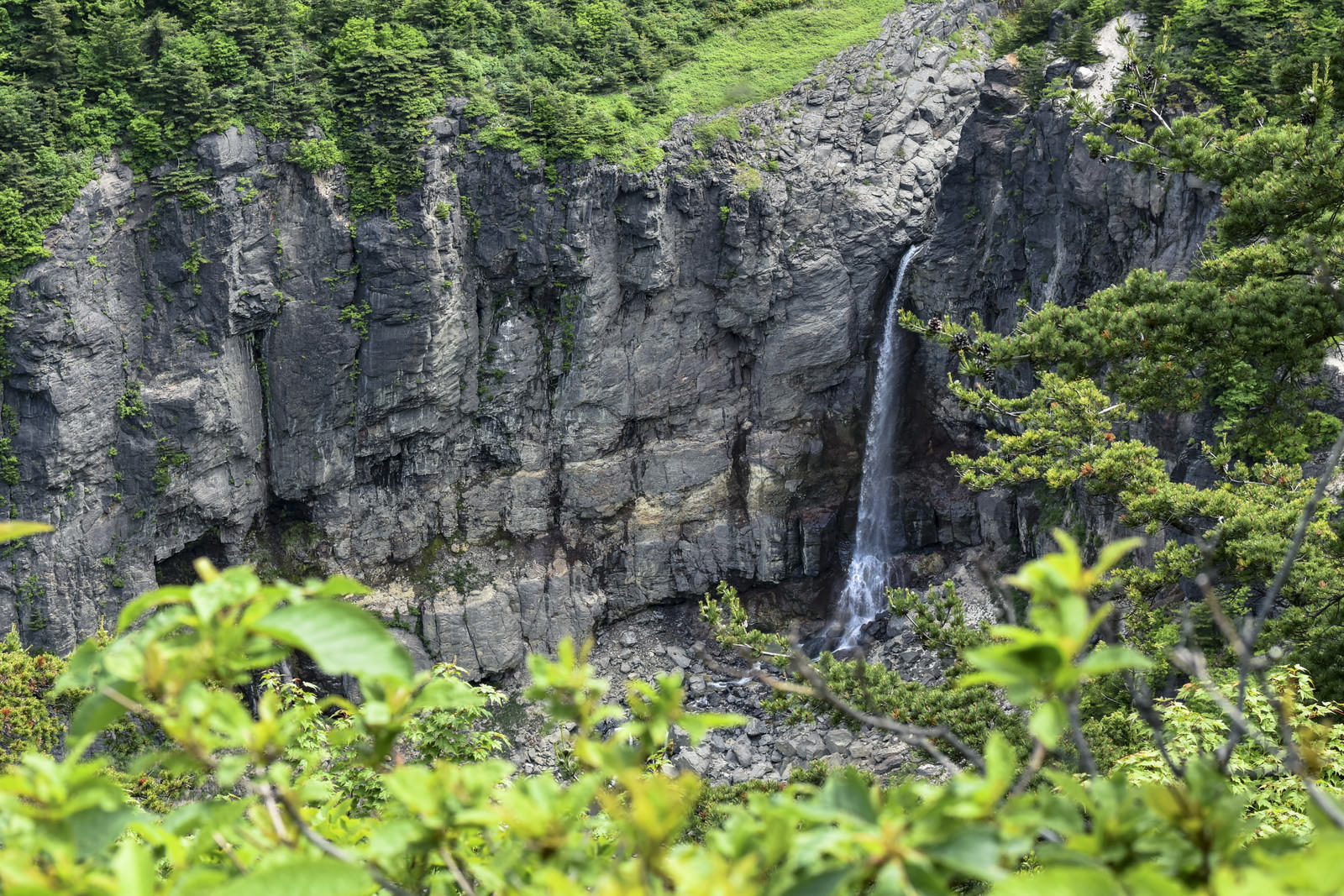 高い岩壁から流れ落ちる安達太良山の白糸の滝と緑豊かな植物