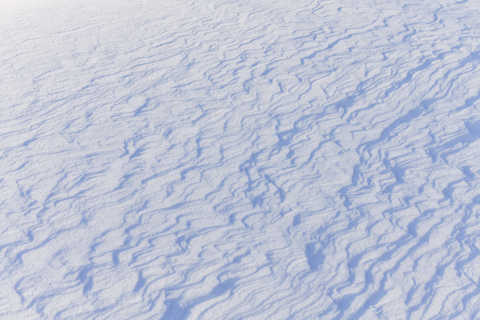 安達太良山の雪面に風で作られた美しい風紋が波状に広がっている