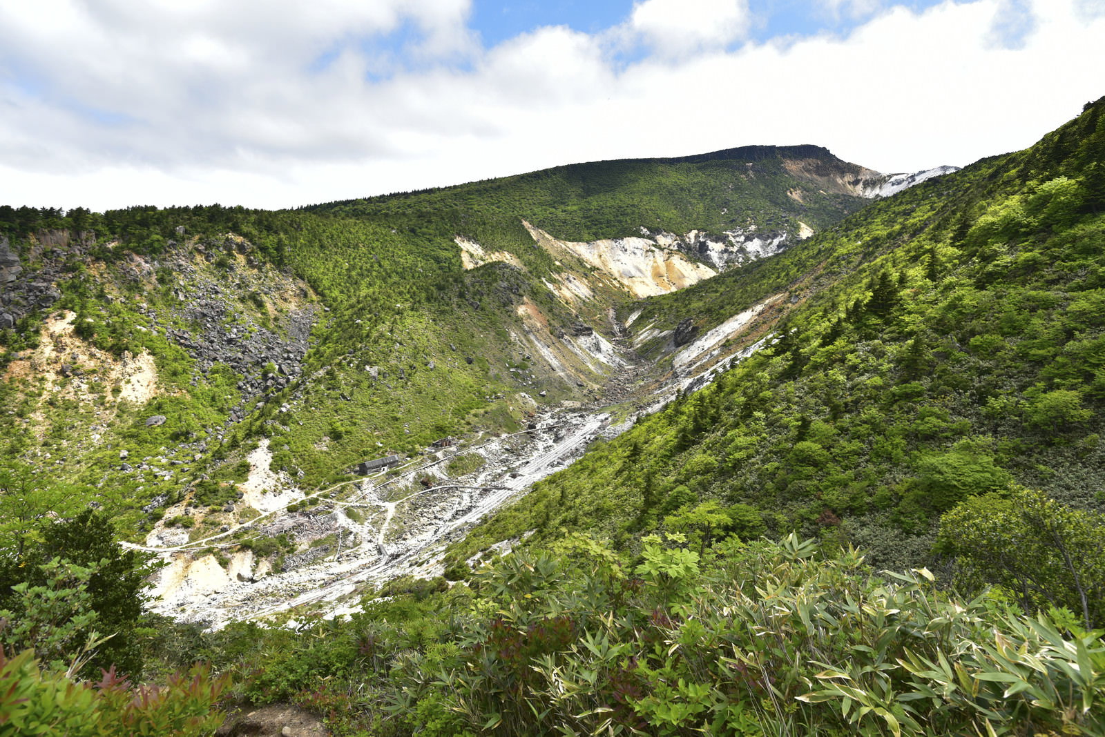 安達太良山沼尻コースから眺める白い湯畑と緑の山肌、谷間を通る登山道