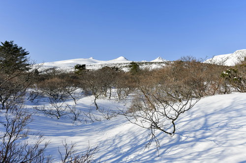 安達太良山登山口付近から見る雪に覆われた山頂方面