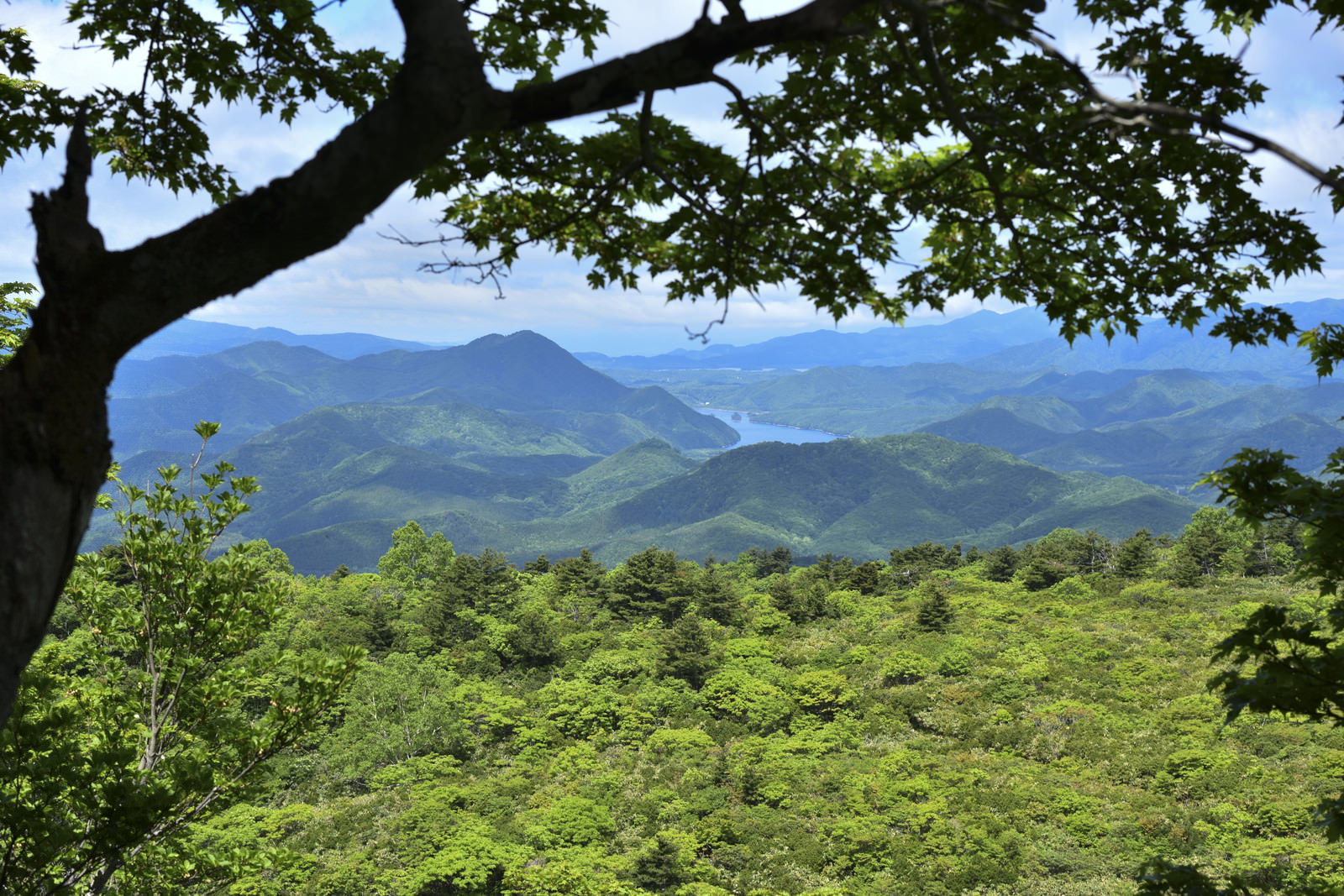 安達太良山登山道から望む秋元湖方面の山岳風景と緑豊かな森林