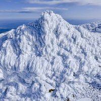 安達太良山の岩にこびりついたエビのしっぽの写真