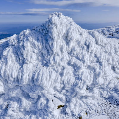 安達太良山の岩にこびりついたエビのしっぽの写真