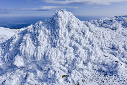 安達太良山の岩にこびりついたエビのしっぽ