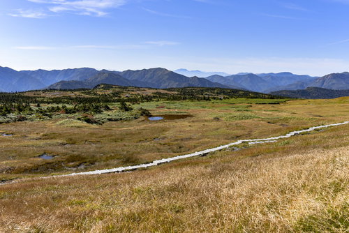 山頂の広い高層湿原を一直線に走る木道（苗場山）