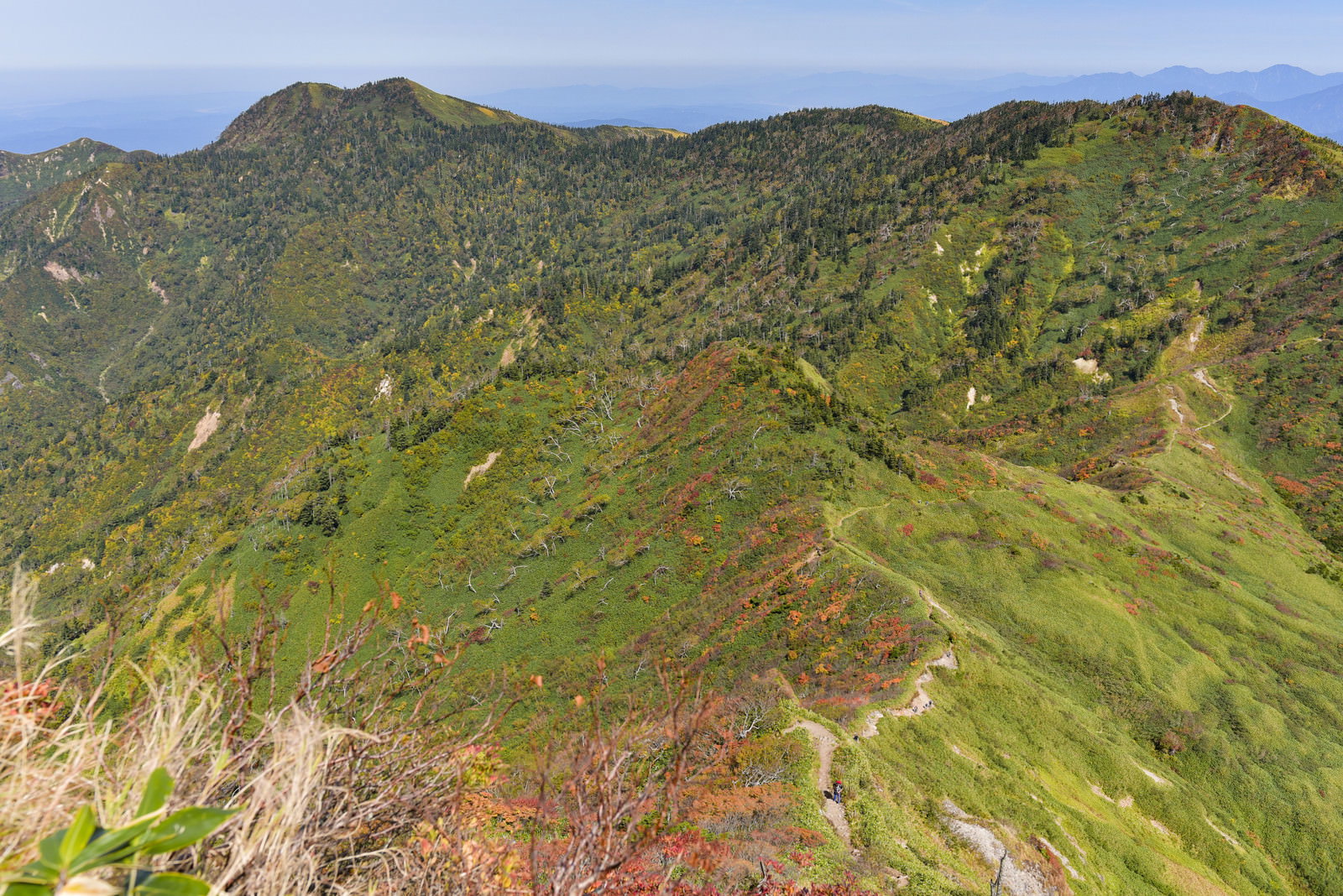 紅葉で赤く染まった神楽ヶ峰の山々を苗場山から撮影した風景