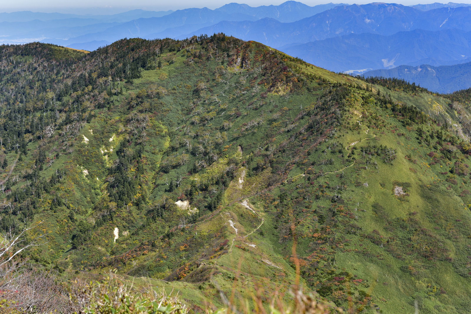 苗場山から神楽ヶ峰方面の山々を望む風景、緑の稜線と青空