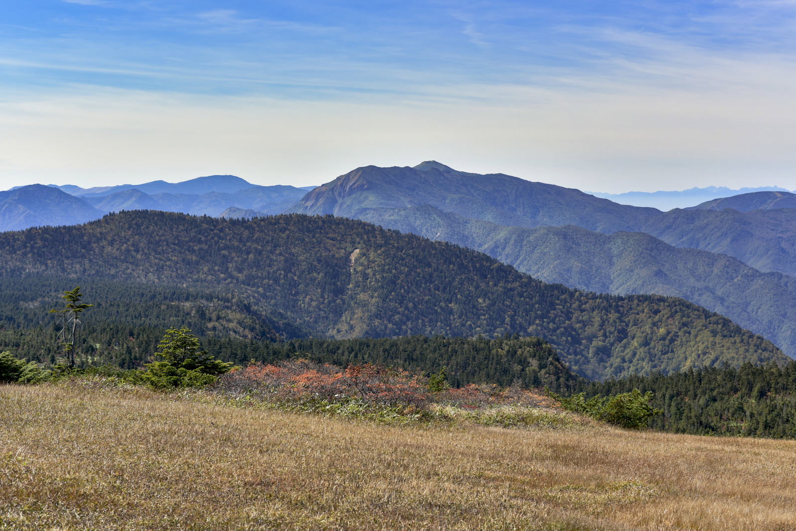苗場山から西側を望む山々の景色、青空と草原が広がる