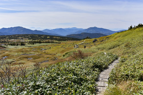 苗場山の湿原に設置された木道と上信越の山々