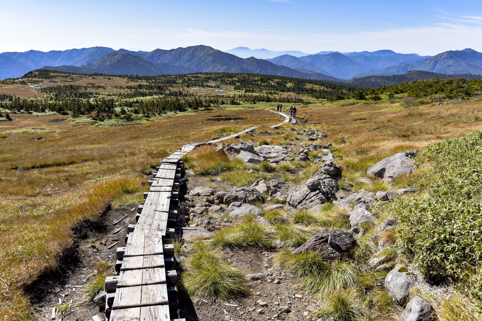 苗場山の高層湿原に設置された木道が遠くまで続く秋の山岳風景